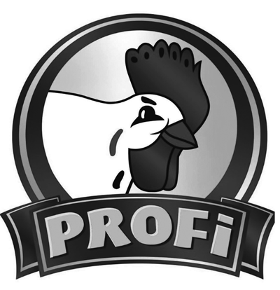 Profi